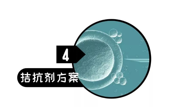 排卵方案中的拮抗剂方案的过程。